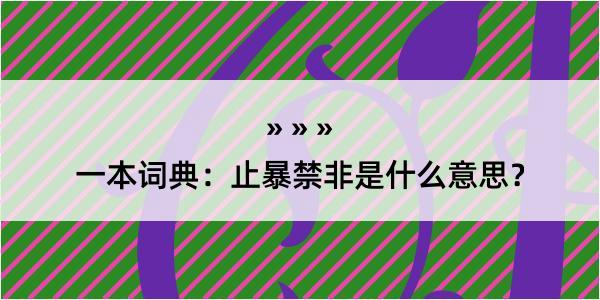 一本词典：止暴禁非是什么意思？