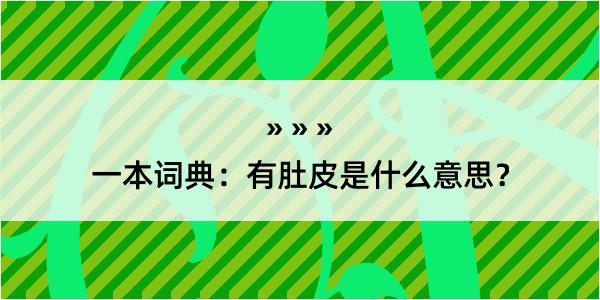 一本词典：有肚皮是什么意思？