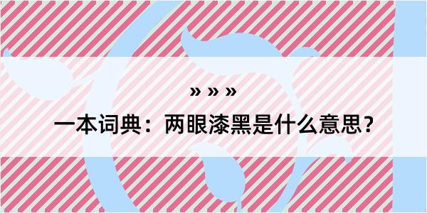 一本词典：两眼漆黑是什么意思？