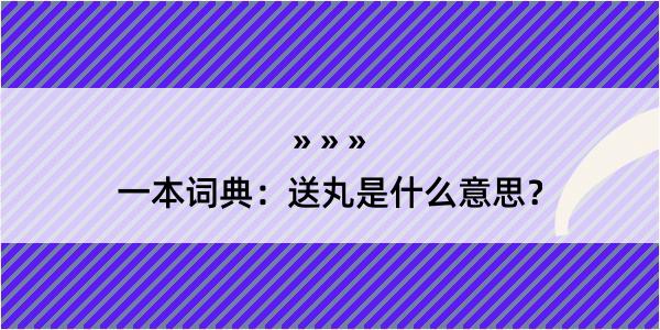 一本词典：送丸是什么意思？