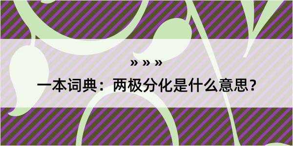 一本词典：两极分化是什么意思？