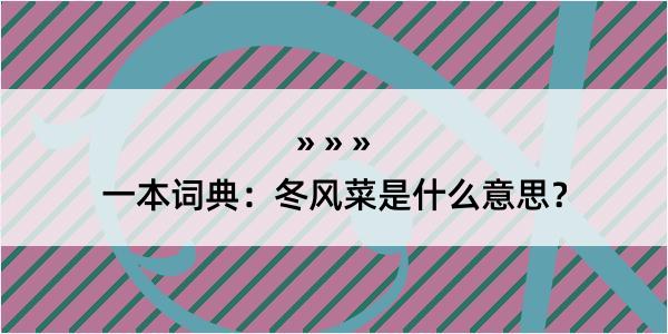 一本词典：冬风菜是什么意思？