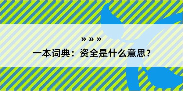 一本词典：资全是什么意思？