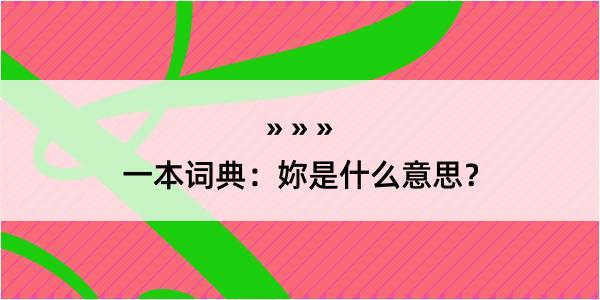 一本词典：妳是什么意思？