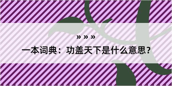 一本词典：功盖天下是什么意思？