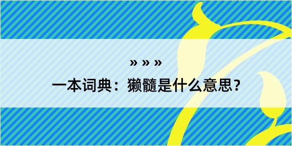 一本词典：獭髓是什么意思？