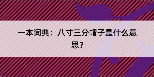 一本词典：八寸三分帽子是什么意思？