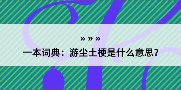 一本词典：游尘土梗是什么意思？