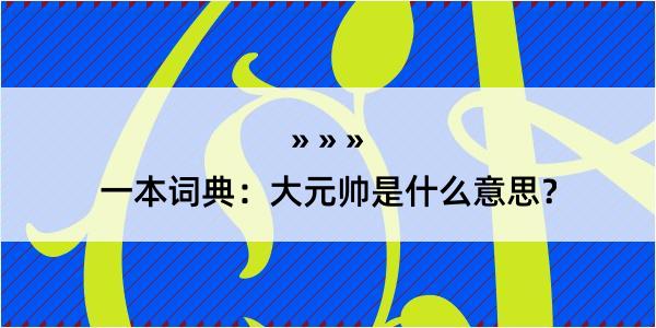 一本词典：大元帅是什么意思？