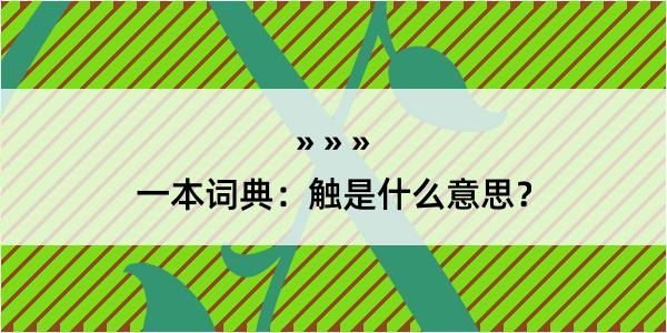 一本词典：触是什么意思？