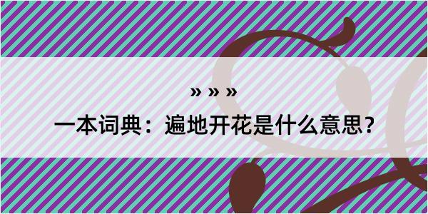 一本词典：遍地开花是什么意思？