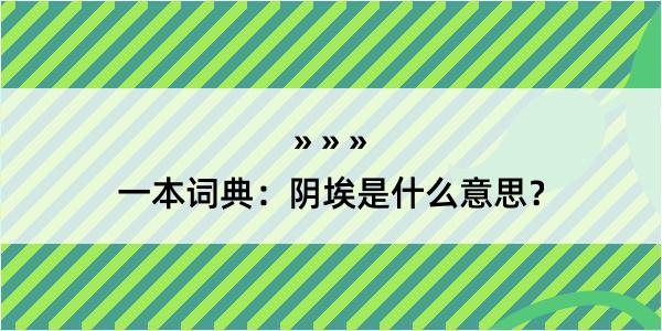 一本词典：阴埃是什么意思？