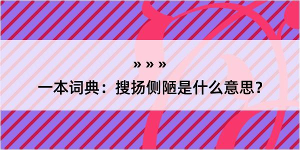 一本词典：搜扬侧陋是什么意思？