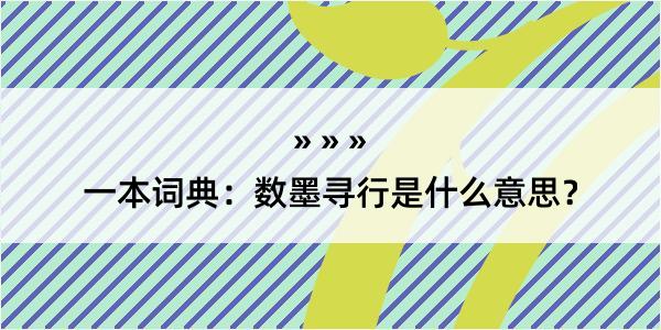 一本词典：数墨寻行是什么意思？