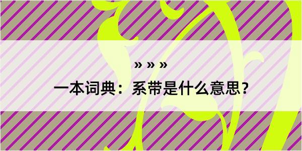 一本词典：系带是什么意思？