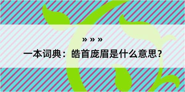 一本词典：皓首庞眉是什么意思？