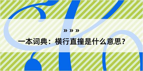 一本词典：横行直撞是什么意思？