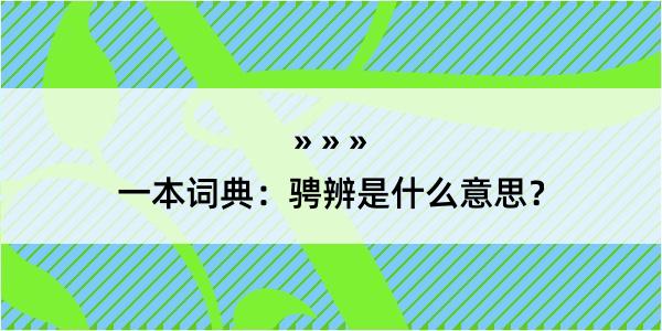 一本词典：骋辨是什么意思？