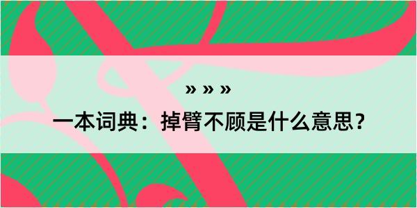 一本词典：掉臂不顾是什么意思？