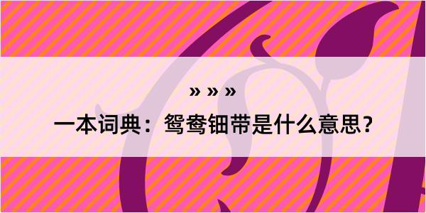 一本词典：鸳鸯钿带是什么意思？