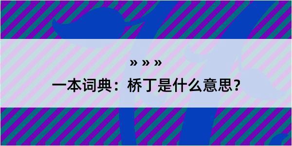 一本词典：桥丁是什么意思？