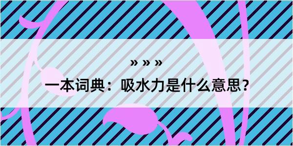 一本词典：吸水力是什么意思？