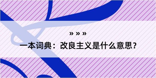 一本词典：改良主义是什么意思？