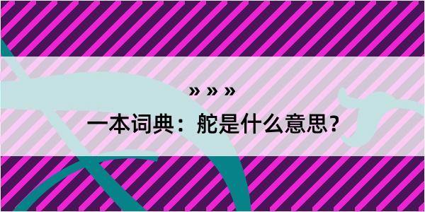 一本词典：舵是什么意思？