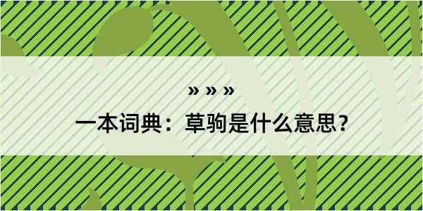 一本词典：草驹是什么意思？