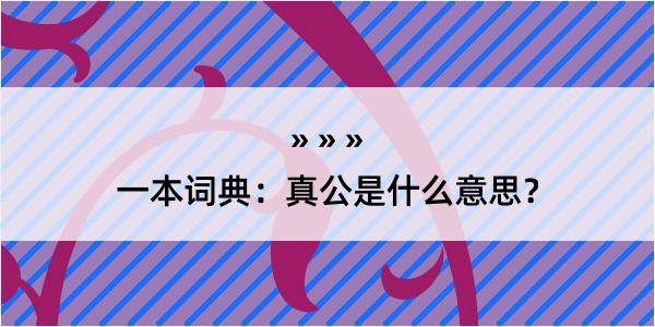 一本词典：真公是什么意思？