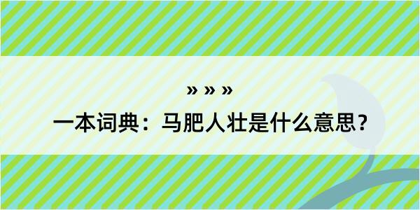 一本词典：马肥人壮是什么意思？