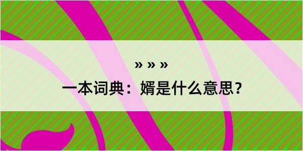 一本词典：婿是什么意思？