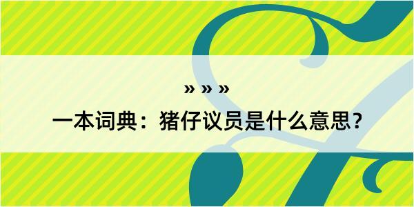 一本词典：猪仔议员是什么意思？