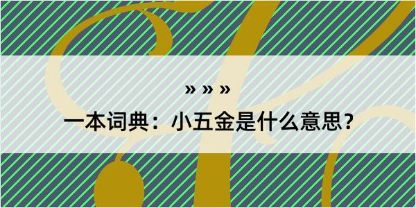 一本词典：小五金是什么意思？