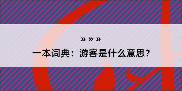 一本词典：游客是什么意思？