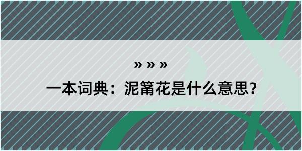 一本词典：泥筩花是什么意思？