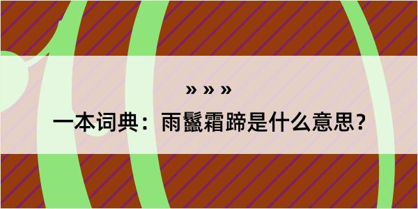 一本词典：雨鬣霜蹄是什么意思？