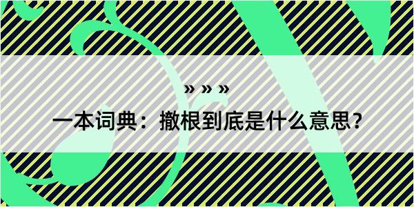 一本词典：撤根到底是什么意思？