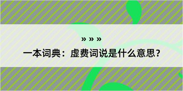 一本词典：虚费词说是什么意思？