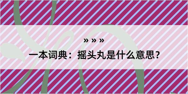 一本词典：摇头丸是什么意思？