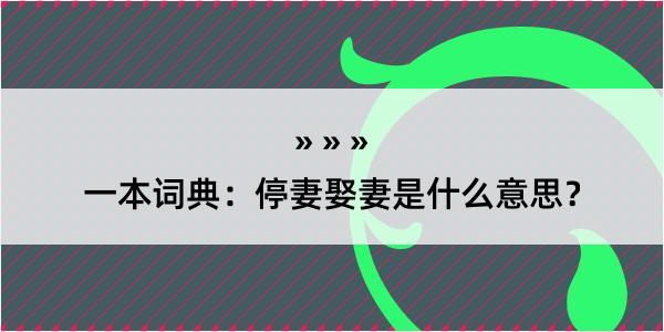 一本词典：停妻娶妻是什么意思？