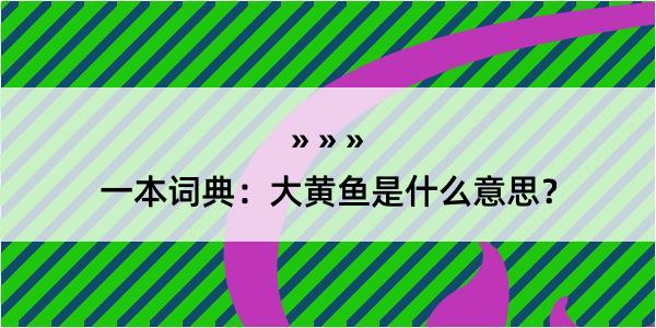 一本词典：大黄鱼是什么意思？