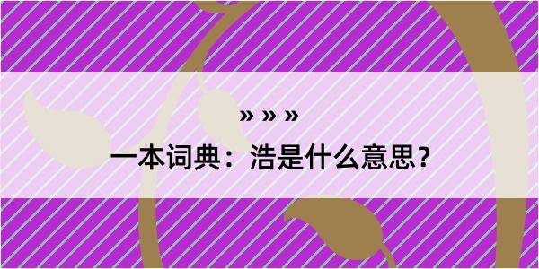 一本词典：浩是什么意思？