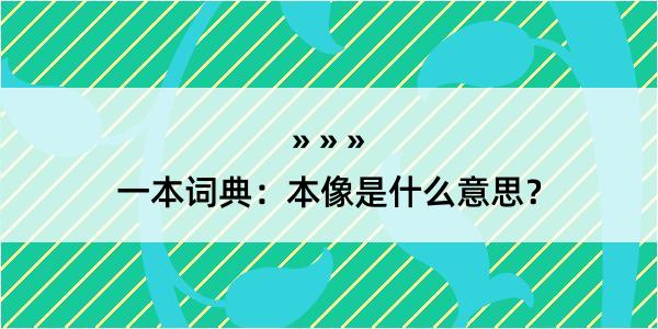 一本词典：本像是什么意思？