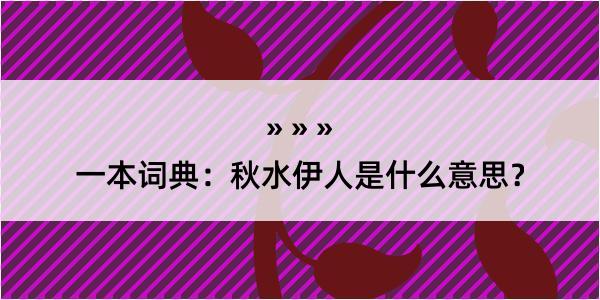 一本词典：秋水伊人是什么意思？