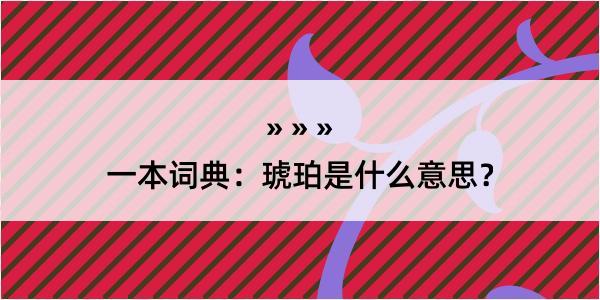 一本词典：琥珀是什么意思？