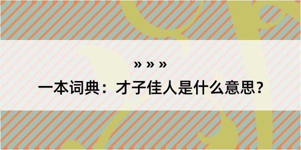 一本词典：才子佳人是什么意思？