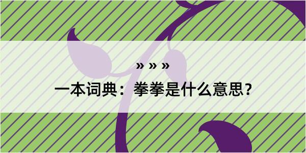 一本词典：拳拳是什么意思？