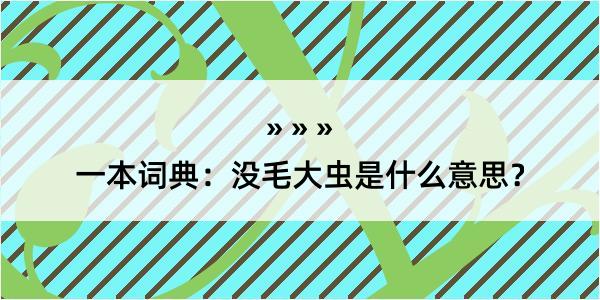 一本词典：没毛大虫是什么意思？