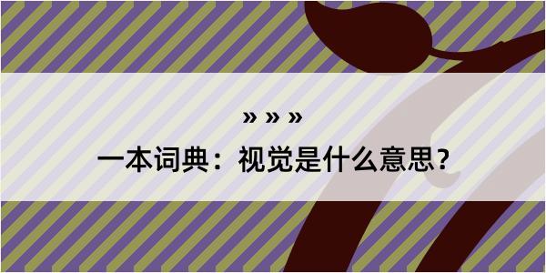 一本词典：视觉是什么意思？